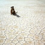 Iran’s Water Crisis: The Next Big Threat