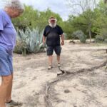 Birding haven on Texas border faces uncertain future if wall is built