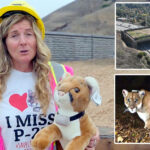 California’s ‘Bridge to Nowhere’ Costs $77M — Expert Warns It’s Just the Beginning