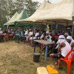 Under the Baobab: Lay Down Arms, Embrace Peace